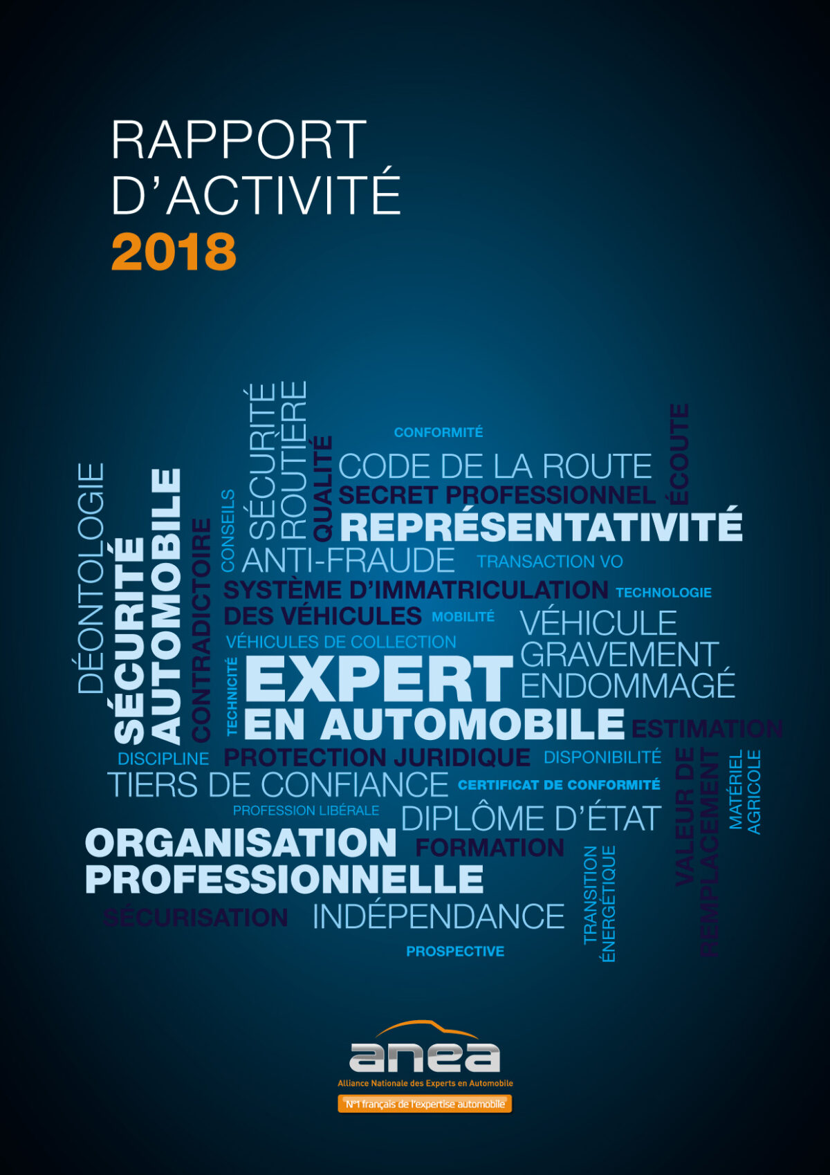 Rapport d’activité FFEA 2018
