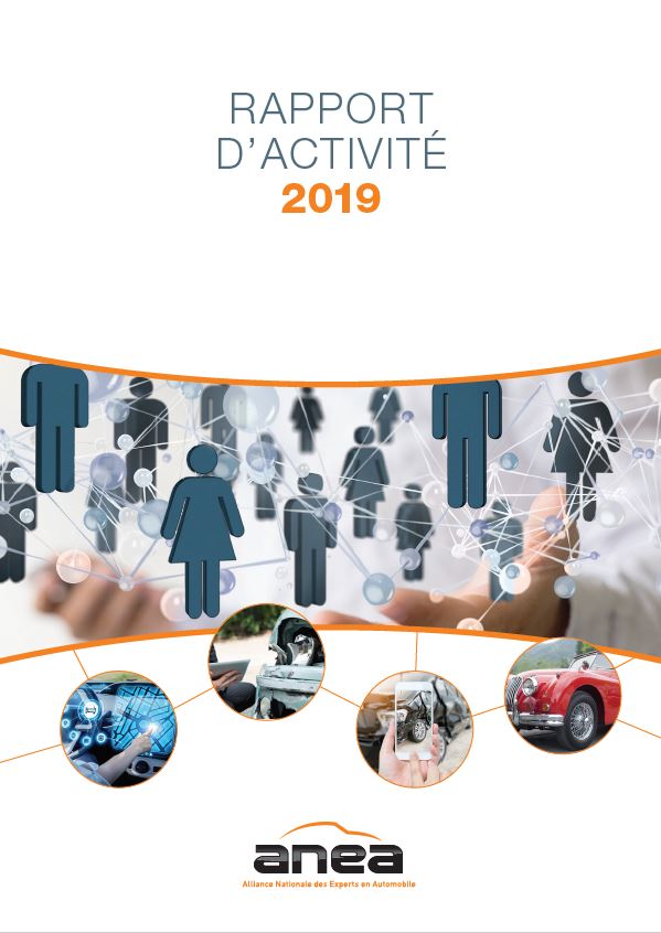 Rapport d’activité FFEA 2019
