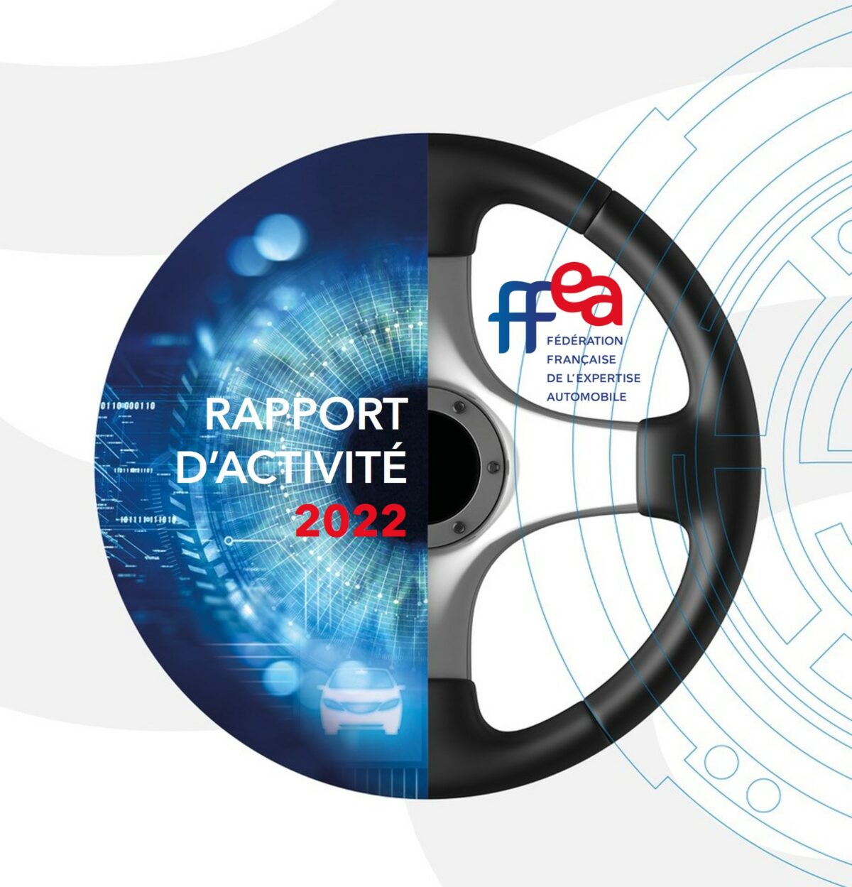 Rapport d’activité FFEA 2022