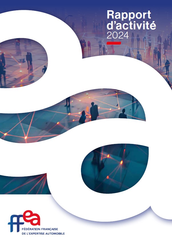 rapport d'activité FFEA 2024
